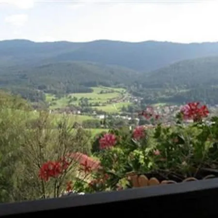 Appartementhaus Im Himmelreich Apartment *